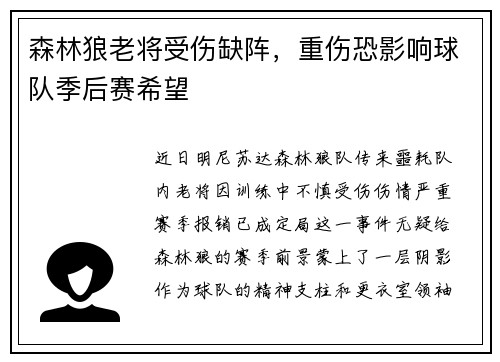 森林狼老将受伤缺阵，重伤恐影响球队季后赛希望