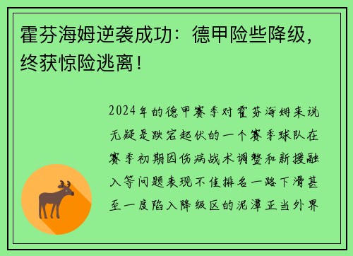 霍芬海姆逆袭成功：德甲险些降级，终获惊险逃离！